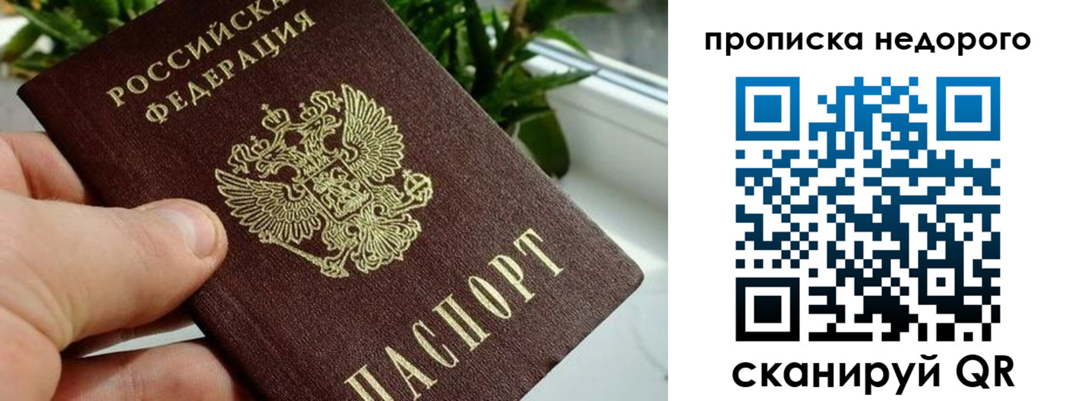 прописка для кредита в Льгове